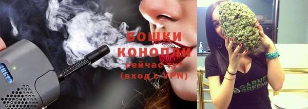 мескалин Заводоуковск