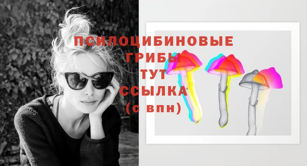 мескалин Заводоуковск
